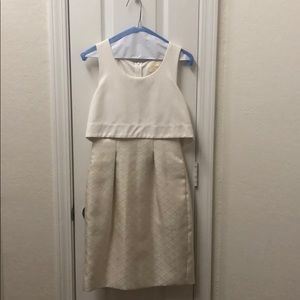 Anthropologie Ivory and Gold Maeve Dress